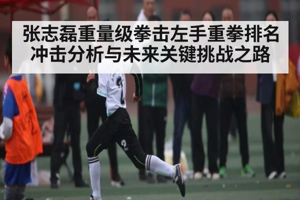 张志磊重量级拳击左手重拳排名冲击分析与未来关键挑战之路